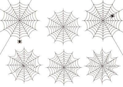たくさんの蜘蛛の巣のイラスト