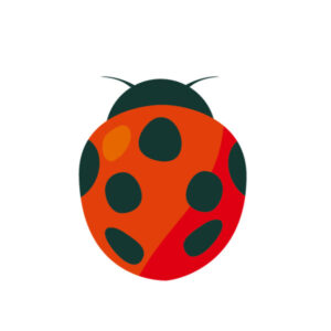 てんとう虫 イラスト図