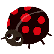 黒いてんとう虫 イラスト図