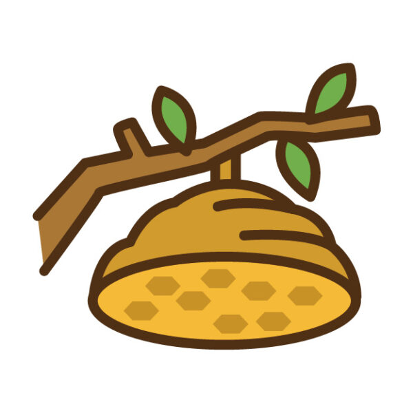 蜂の巣 イラスト図