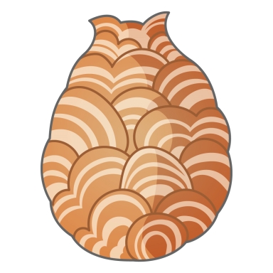 スズメバチの巣 イラスト図