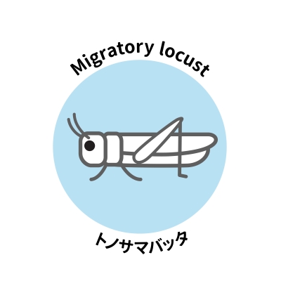 トノサマバッタ ロゴ風イラスト