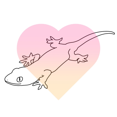 ヤモリが伝える恋愛のメッセージのイラスト図