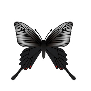 黒い蝶のイラスト